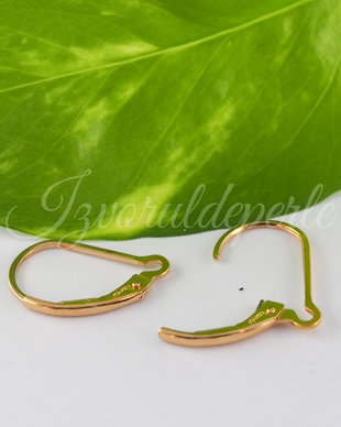 Tortite, gold filled 14k (1per)