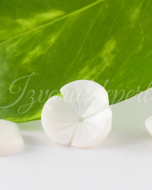 Sidef 12mm (1)