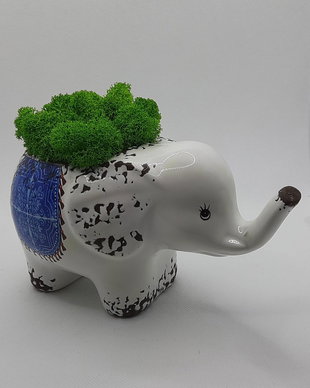 Elefant antichizat cu licheni