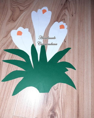 Decoratiune pavoazare clasa