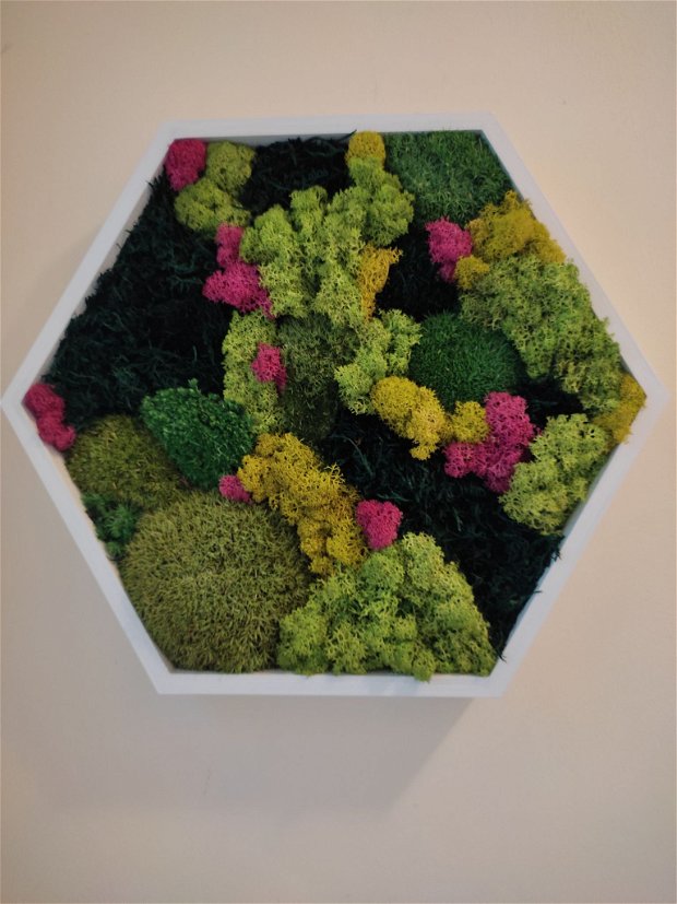 Tablou hexagonal cu licheni