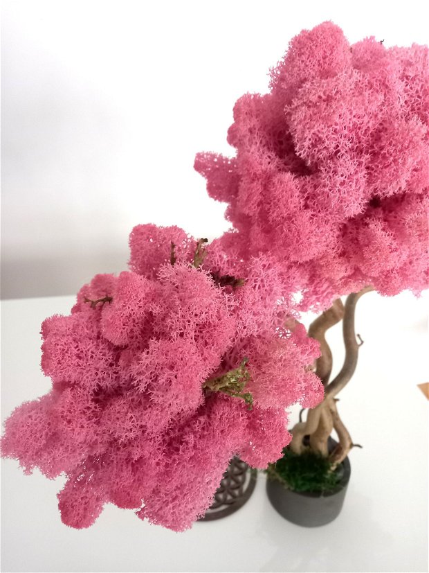 Arbore atemporal din ramuri de alun creț și licheni roz