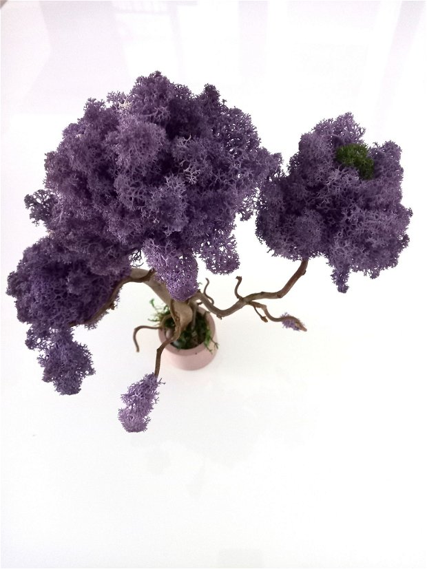 Arbore atemporal din ramuri de alun creț și licheni purple