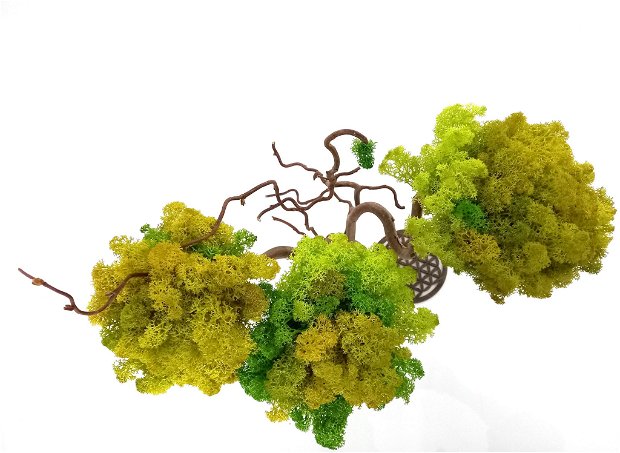 Arbore atemporal din ramuri de alun creț și licheni verde luminos