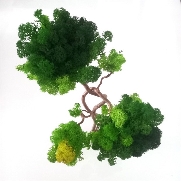 Arbore atemporal din ramuri de alun creț și licheni verzi