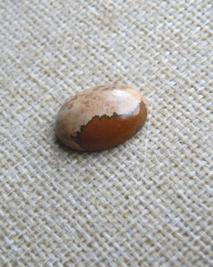 Caboson picture jasper (C101)