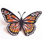 Brosa cu fluture mare Monarch