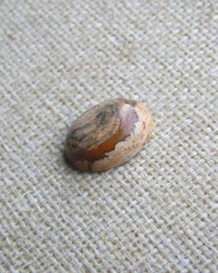 Caboson picture jasper (C101)
