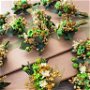 Cocarde nuntă-flori naturale uscate și criogenate,  Verde