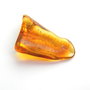 Chihlimbar slefuit (MLP-13)