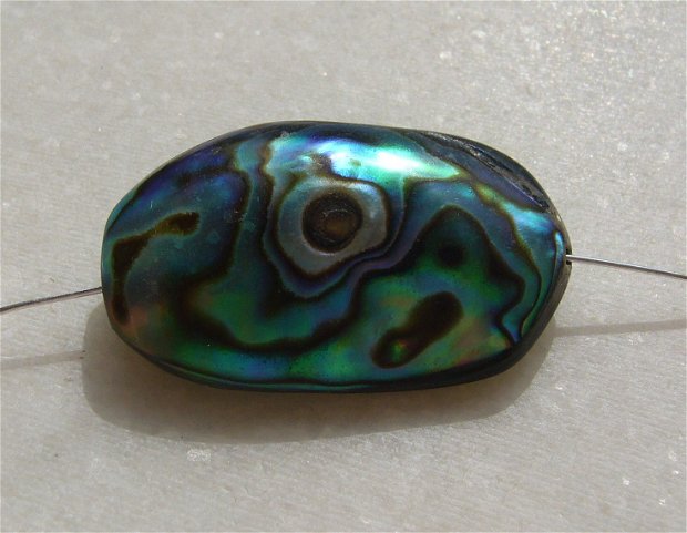 Pandant din scoica paua abalone gaurit pe lungime aprox 30.5x18.5x7.5 mm