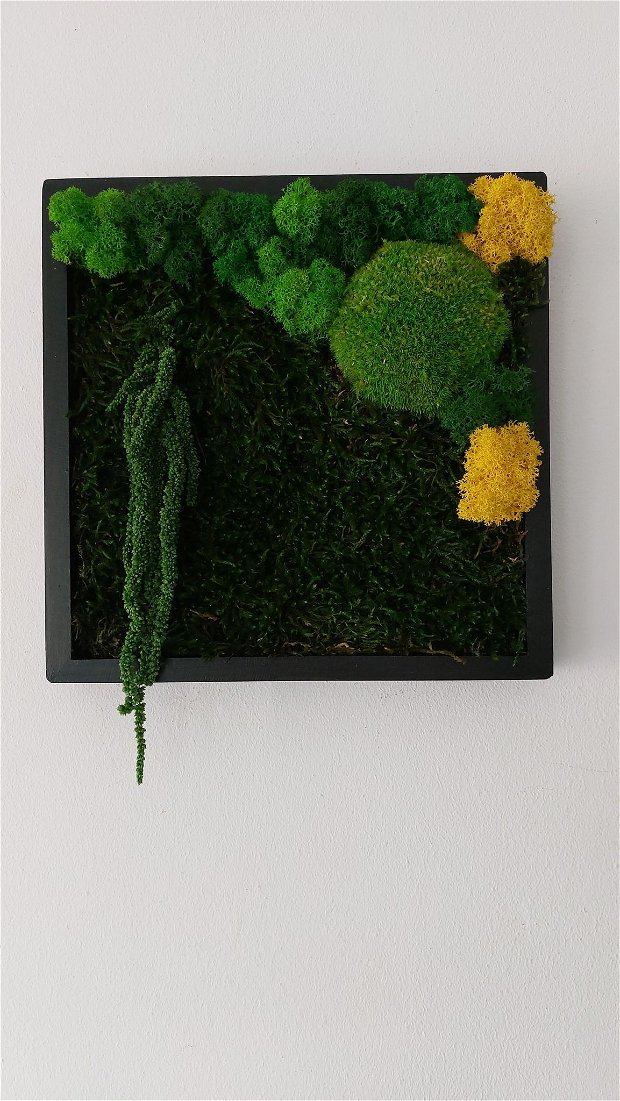 Tablou cu licheni, 25x25 cm