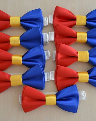 Papion tricolor, marime adult