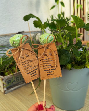 Marturii Nunta/botez- Acadele PLANTABILE din hartie cu seminte de flori(CITIȚI DESCRIEREA)