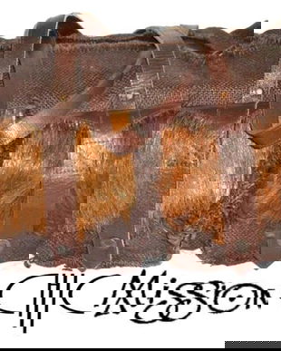 Geanta originala Chick on a mission