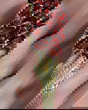 Brose anii 70 cod 115