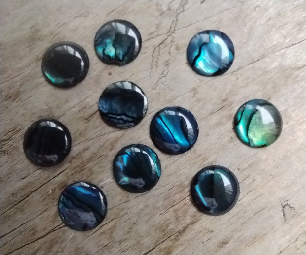 Cabochon paua abalone, 8 mm (2 buc)