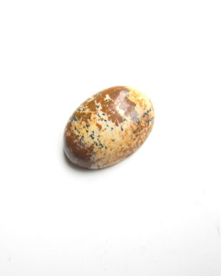Caboson picture jasper (F22)