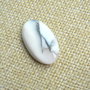 Caboson opal dendritic (F22)