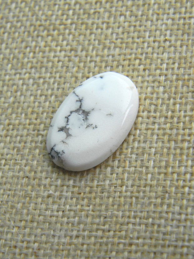 Caboson opal dendritic (F22)