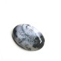 Caboson opal dendritic (F23)