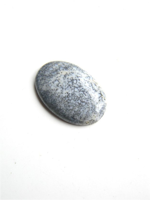 Caboson opal dendritic (F23)