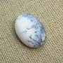 Caboson opal dendritic (F23)