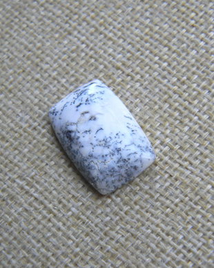 Caboson opal dendritic (F24)