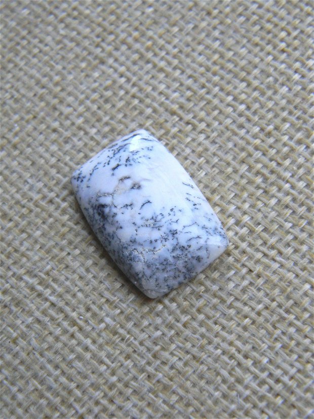 Caboson opal dendritic (F24)