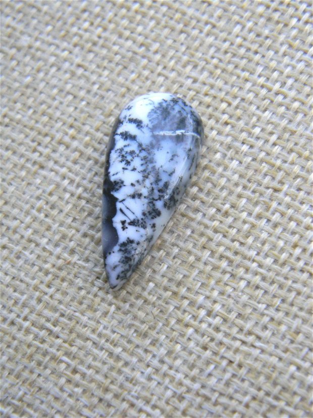 Caboson opal dendritic (F24)