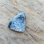Cabochon opal dendritic, 38x28 mm
