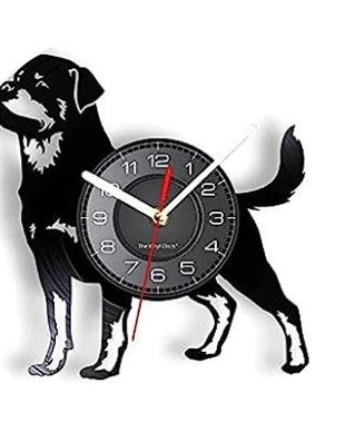 BORDER COLLIE- ceas de perete