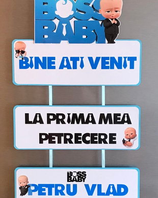Banner botez Baby boss