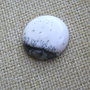 Caboson opal dendritic (F25)