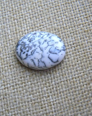 Caboson opal dendritic (F25)