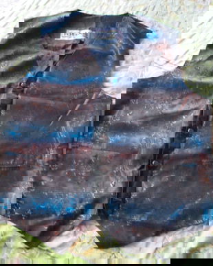 vesta eleganta Tossari 54