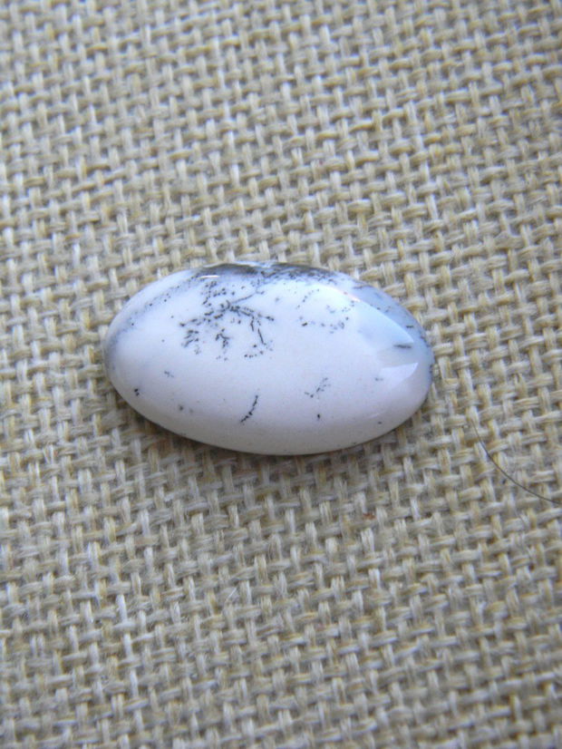 Caboson opal dendritic (F25)