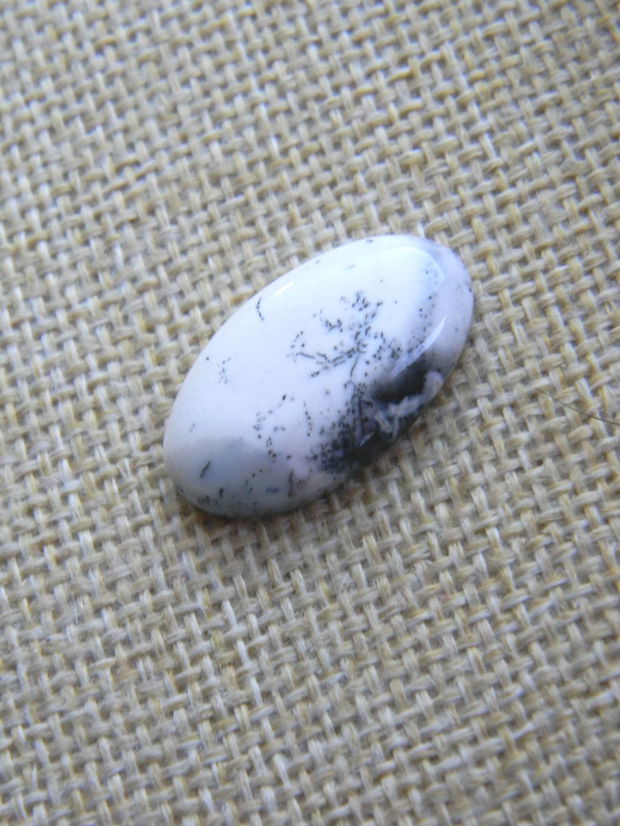 Caboson opal dendritic (F25)