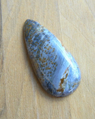 Caboson pietersit (F26)