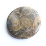 Caboson coral fosil (F26)