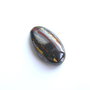 Caboson tiger iron (F26)