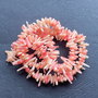 Lchips 36 - coral tepi chips