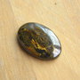 Caboson tiger iron (F26)