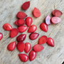 Cabochon coral rosu, 20 buc REZERVAT