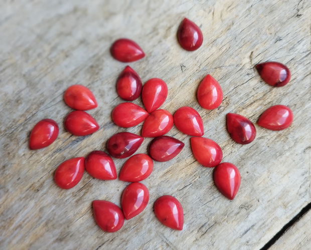 Cabochon coral rosu, 20 buc REZERVAT