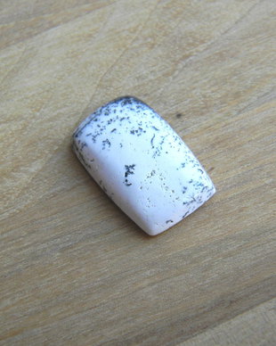 Caboson opal dendritic (F25)