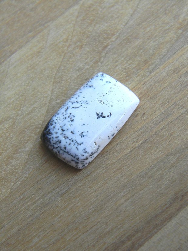 Caboson opal dendritic (F25)