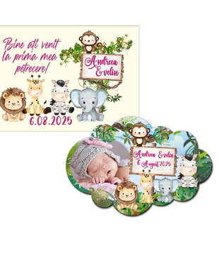 Magneti forma norisor Safari, Baby Girl