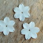 Floare sidef, 29x26x3 mm