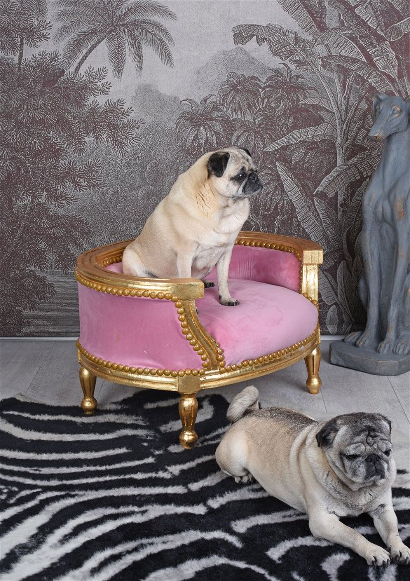 Canapea pentru caine din lemn auriu cu tapiterie roz